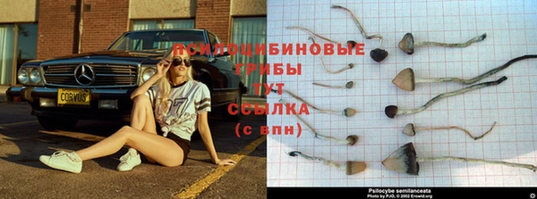 COCAINE Алзамай