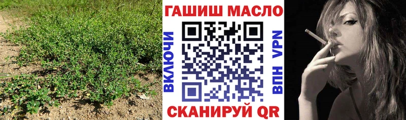 мега ТОР  Андреаполь  Дистиллят ТГК концентрат  купить  