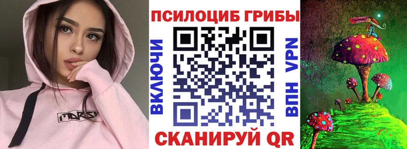 Псилоцибиновые грибы прущие грибы  Андреаполь 